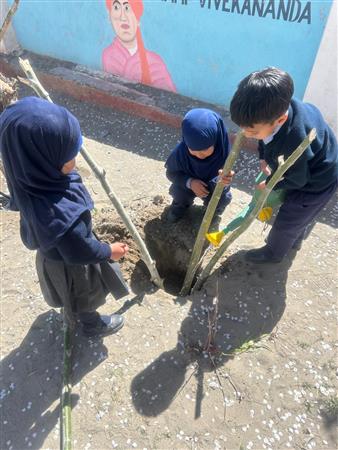 World Plantation Day